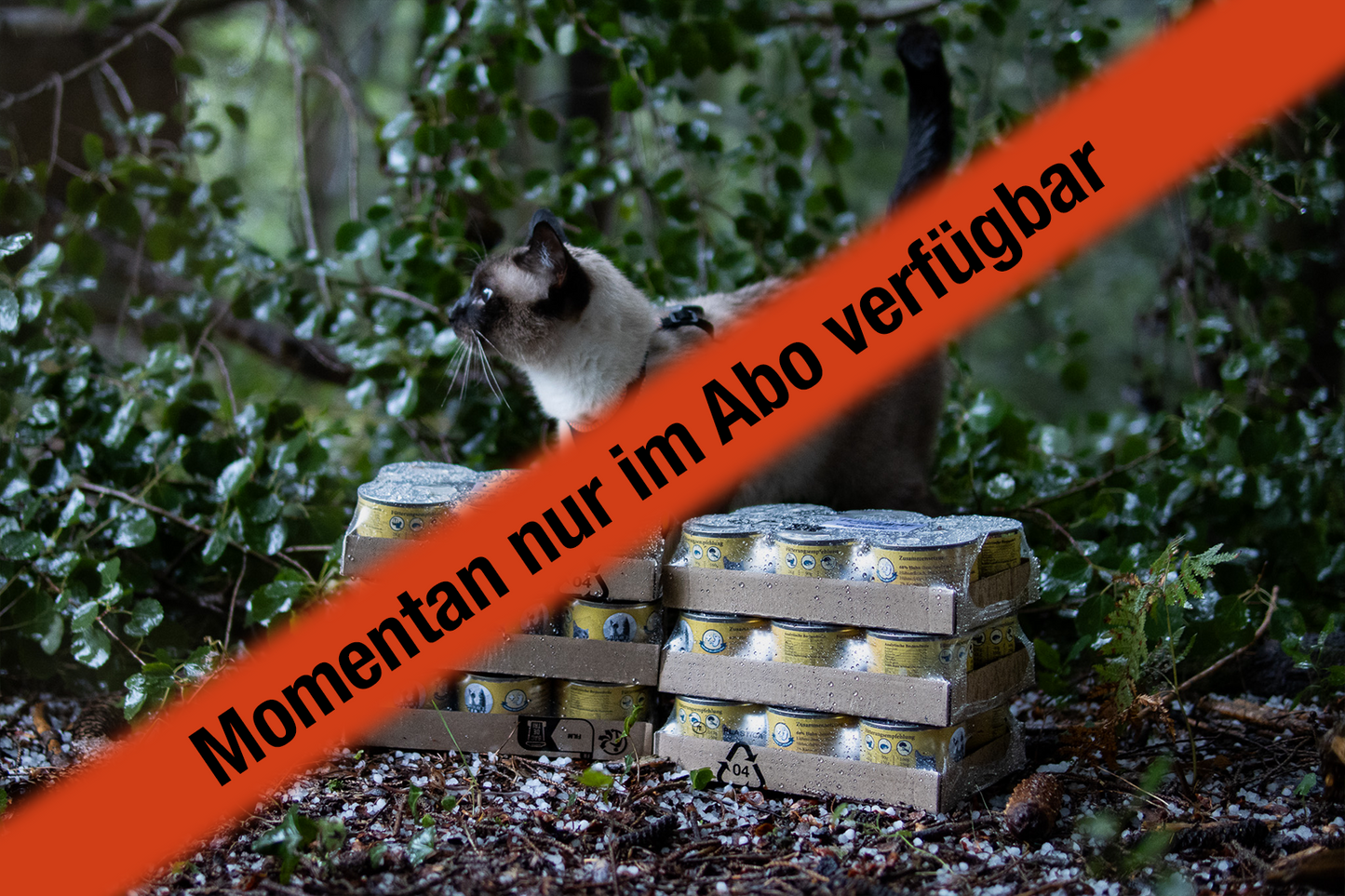 Monatsvorrat 10% Rabatt (Huhn)