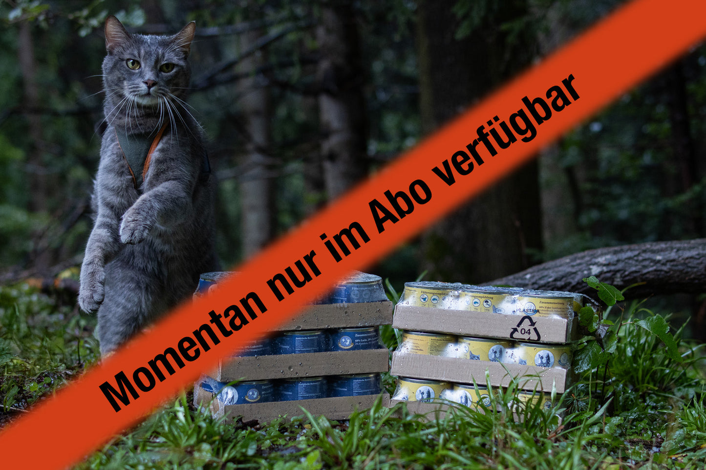 Monatsvorrat 10% Rabatt (Lachs & Huhn)