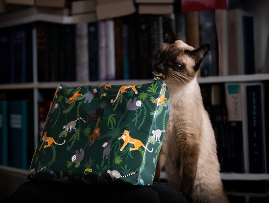 Weihnachtsgeschenk (Buch/Nassfutter und Snacks)